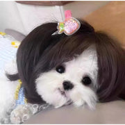 Pet Wig Dog And Cat Supplies Christmas Pet Accessories Curly Hair Straight Hair Diy Hand Woven Hair Wig DIY Accessorie