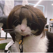 Pet Wig Dog And Cat Supplies Christmas Pet Accessories Curly Hair Straight Hair Diy Hand Woven Hair Wig DIY Accessorie