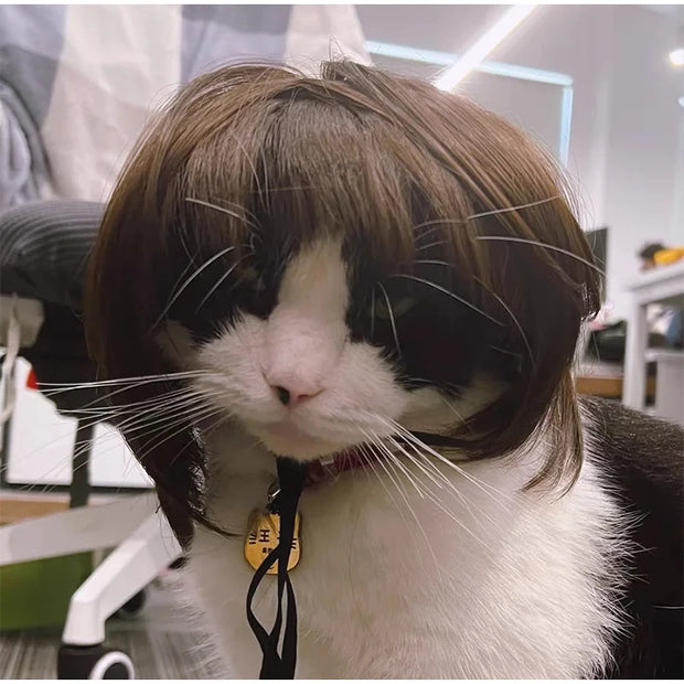 Pet Wig Dog And Cat Supplies Christmas Pet Accessories Curly Hair Straight Hair Diy Hand Woven Hair Wig DIY Accessorie