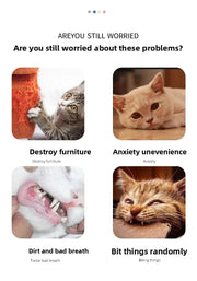 Cat Toys Christmas Elk Gingerbread Man Santa Claus Plush Cat Dogs Toys Interactive Play Cat Toys Self Hi Christmas Pet Supplies