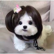 Pet Wig Dog And Cat Supplies Christmas Pet Accessories Curly Hair Straight Hair Diy Hand Woven Hair Wig DIY Accessorie