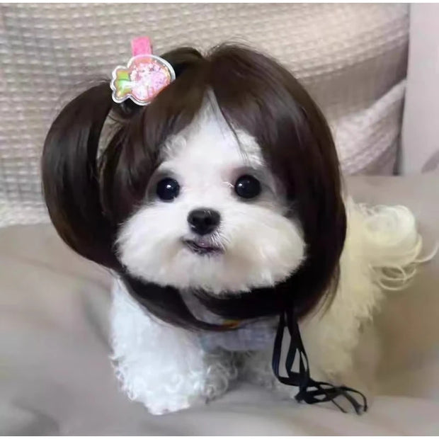 Pet Wig Dog And Cat Supplies Christmas Pet Accessories Curly Hair Straight Hair Diy Hand Woven Hair Wig DIY Accessorie