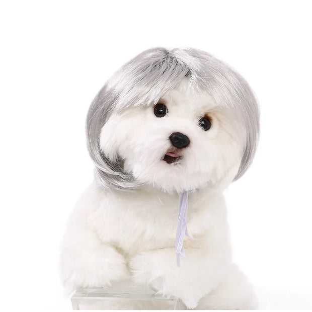 Pet Wig Dog And Cat Supplies Christmas Pet Accessories Curly Hair Straight Hair Diy Hand Woven Hair Wig DIY Accessorie