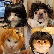 Pet Wig Dog And Cat Supplies Christmas Pet Accessories Curly Hair Straight Hair Diy Hand Woven Hair Wig DIY Accessorie