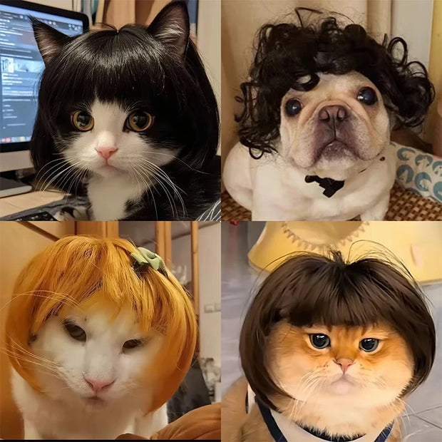 Pet Wig Dog And Cat Supplies Christmas Pet Accessories Curly Hair Straight Hair Diy Hand Woven Hair Wig DIY Accessorie