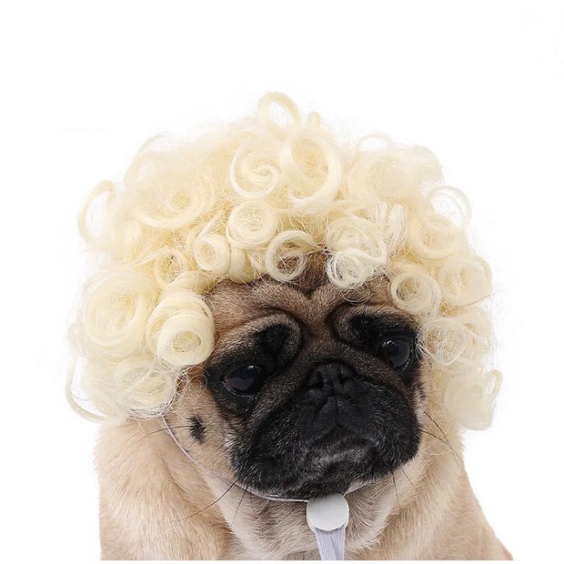 Pet Wig Dog And Cat Supplies Christmas Pet Accessories Curly Hair Straight Hair Diy Hand Woven Hair Wig DIY Accessorie