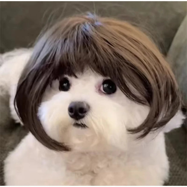 Pet Wig Dog And Cat Supplies Christmas Pet Accessories Curly Hair Straight Hair Diy Hand Woven Hair Wig DIY Accessorie