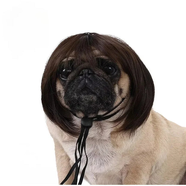 Pet Wig Dog And Cat Supplies Christmas Pet Accessories Curly Hair Straight Hair Diy Hand Woven Hair Wig DIY Accessorie