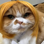 Pet Wig Dog And Cat Supplies Christmas Pet Accessories Curly Hair Straight Hair Diy Hand Woven Hair Wig DIY Accessorie