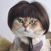 Pet Wig Dog And Cat Supplies Christmas Pet Accessories Curly Hair Straight Hair Diy Hand Woven Hair Wig DIY Accessorie