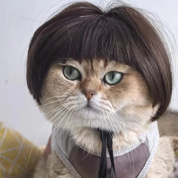 Pet Wig Dog And Cat Supplies Christmas Pet Accessories Curly Hair Straight Hair Diy Hand Woven Hair Wig DIY Accessorie