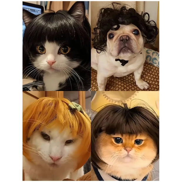 Pet Wig Dog And Cat Supplies Christmas Pet Accessories Curly Hair Straight Hair Diy Hand Woven Hair Wig DIY Accessorie