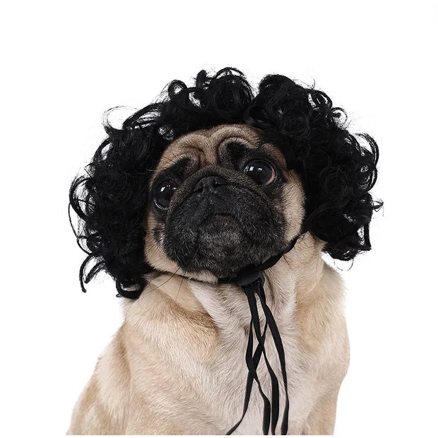 Pet Wig Dog And Cat Supplies Christmas Pet Accessories Curly Hair Straight Hair Diy Hand Woven Hair Wig DIY Accessorie