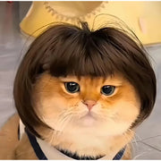 Pet Wig Dog And Cat Supplies Christmas Pet Accessories Curly Hair Straight Hair Diy Hand Woven Hair Wig DIY Accessorie