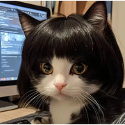 Pet Wig Dog And Cat Supplies Christmas Pet Accessories Curly Hair Straight Hair Diy Hand Woven Hair Wig DIY Accessorie