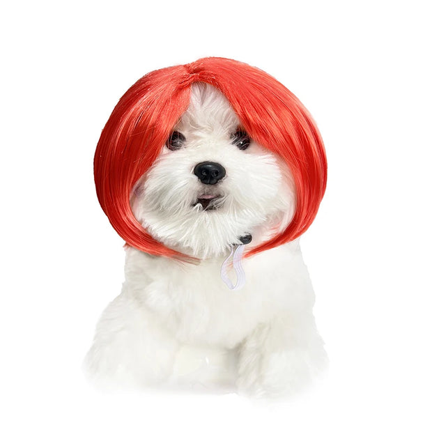 Pet Wig Dog And Cat Supplies Christmas Pet Accessories Curly Hair Straight Hair Diy Hand Woven Hair Wig DIY Accessorie