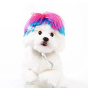 Pet Wig Dog And Cat Supplies Christmas Pet Accessories Curly Hair Straight Hair Diy Hand Woven Hair Wig DIY Accessorie