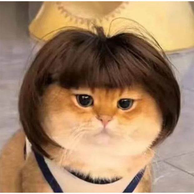 Pet Wig Dog And Cat Supplies Christmas Pet Accessories Curly Hair Straight Hair Diy Hand Woven Hair Wig DIY Accessorie