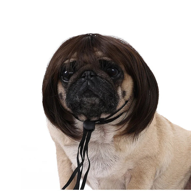 Pet Wig Dog And Cat Supplies Christmas Pet Accessories Curly Hair Straight Hair Diy Hand Woven Hair Wig DIY Accessorie