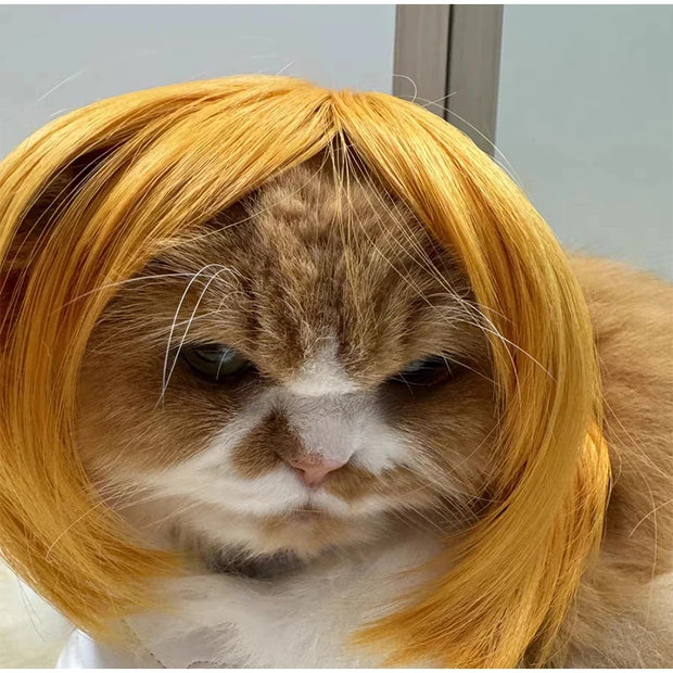 Pet Wig Dog And Cat Supplies Christmas Pet Accessories Curly Hair Straight Hair Diy Hand Woven Hair Wig DIY Accessorie