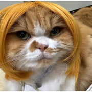 Pet Wig Dog And Cat Supplies Christmas Pet Accessories Curly Hair Straight Hair Diy Hand Woven Hair Wig DIY Accessorie